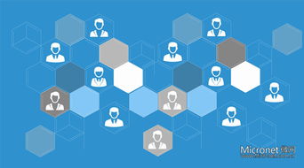 传统营销与互联网营销的本质差异与互联网销售的崛起